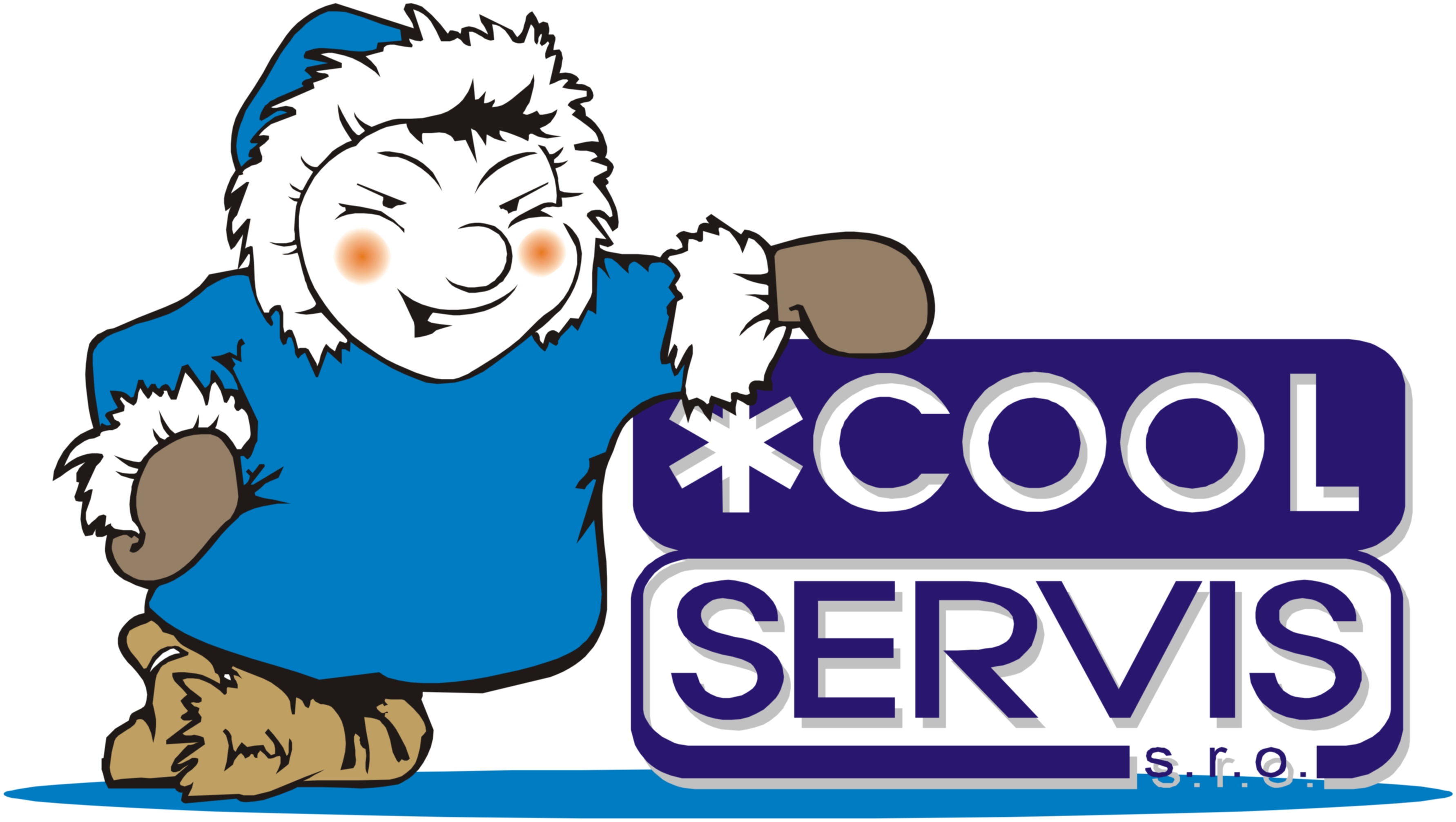 Logo COOL SERVIS